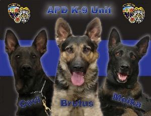 APD K9 Unit, Covi, Brutus and Moika